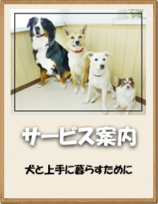 犬のようちえん 京阪大和田教室 大阪府門真市 子犬のしつけなら 犬のようちえん 京阪大和田教室へ トイレや無駄吠え 社会的マナーを通園して楽しく身につけさせてあげましょう 都島区 旭区 門真市 守口市対応