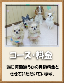 犬のようちえん 京阪大和田教室 大阪府門真市 子犬のしつけなら 犬のようちえん 京阪大和田教室へ トイレや無駄吠え 社会的マナーを通園して楽しく身につけさせてあげましょう 都島区 旭区 門真市 守口市対応